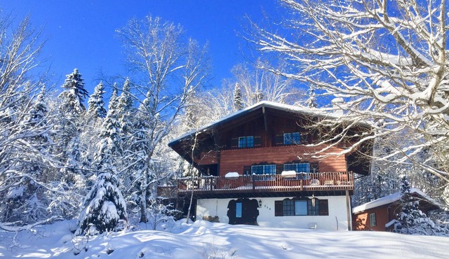 Swiss Chalet with Real Two Story Stone Fireplace