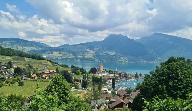 Swiss Holiday Apartments