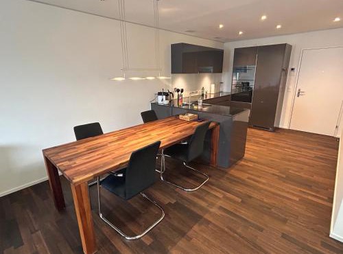 Swiss Horizon - Moderne Businesswohnung, chic & zentral