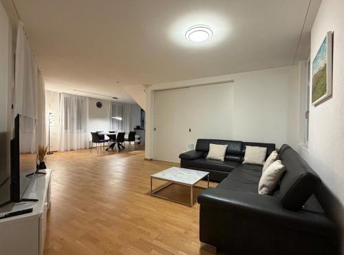 Swiss Suites Oberglatt