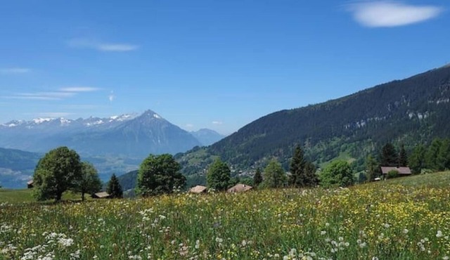 @swissmountainview: holidayhome with amazing views