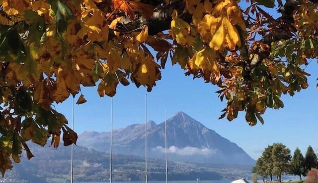 @swissmountainview: holidayhome with amazing views
