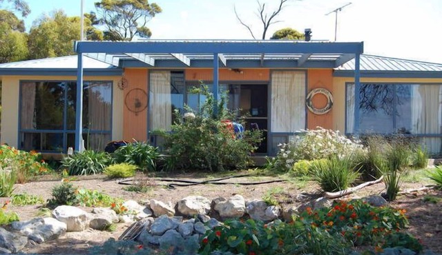 Swordfish, Pet Friendly SHACK