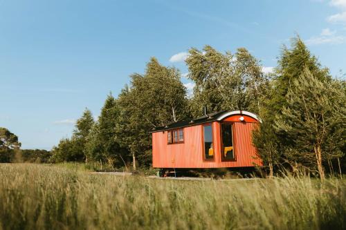 Sycamore and Stars Off Grid Retreat
