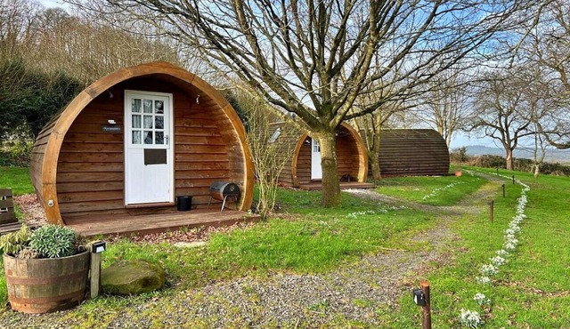 Sycamore Glamping Pod