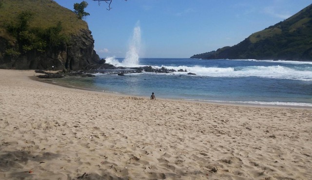 Sylvia Hotel Maumere