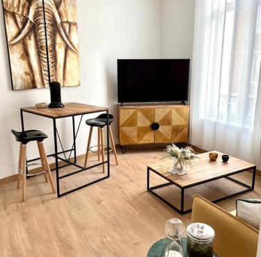 SYMPA 1 Bedroom 1BR Center of Reims Parking