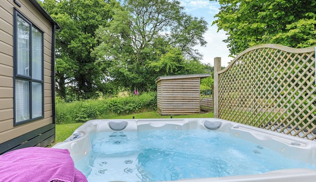 Symphony 3 Hot Tub Pet