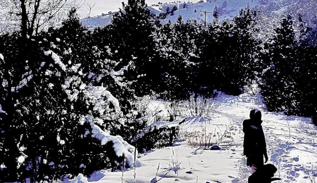 Syncrodestiny2., Mountains,Living room, kitchenette,private