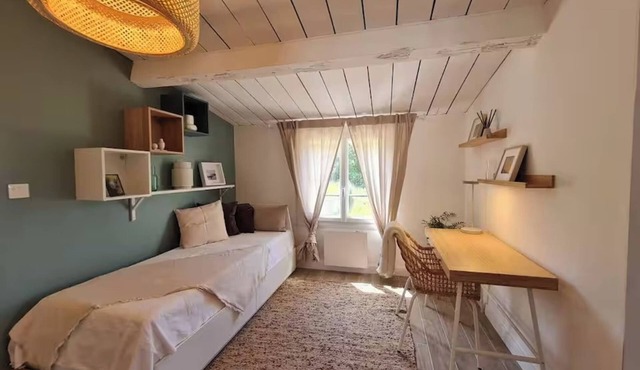 Syrah - Domaine de la Navicelle