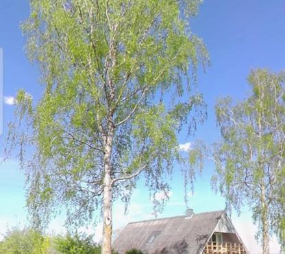 Tåning Bnb