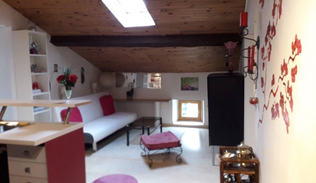 T 3 attic in character house