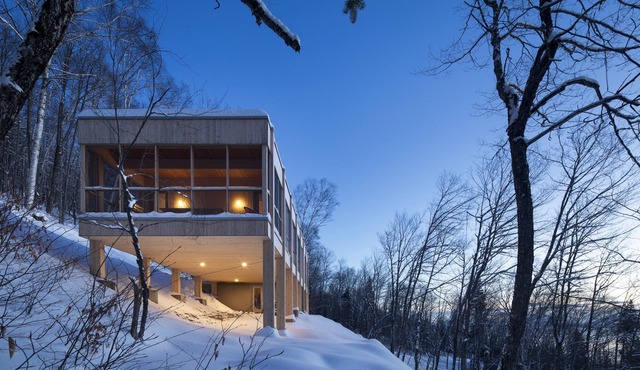 Tree house Chez Leon
