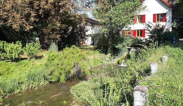 Three bedroom Country house with library in the Dordogne