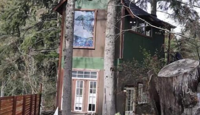 T, s Creekside cabin. King Bed/Hot tub/treehousenn