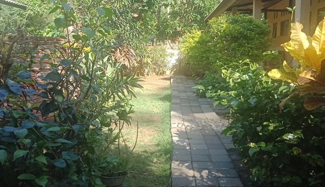 T&T Homestay