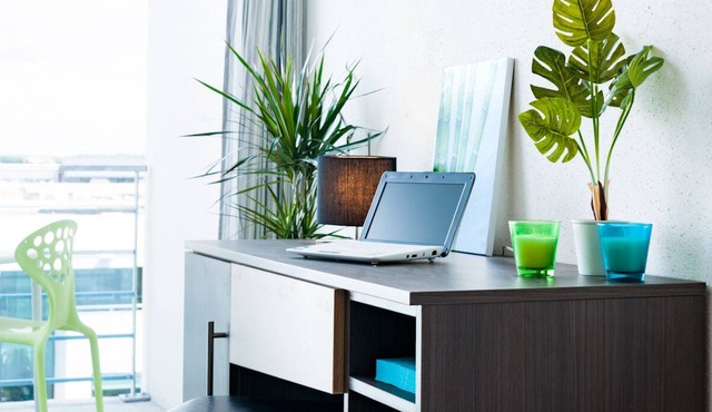 T1 and T1B apartments