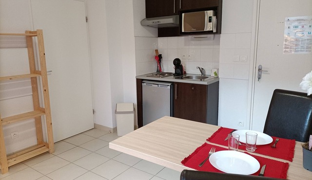 T1 BIS Dans Résidence Avec Piscine B36