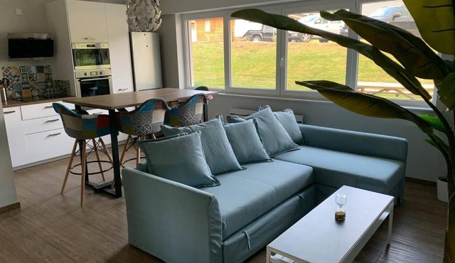 T1 Bis de standing rénové en rez-de-jardin