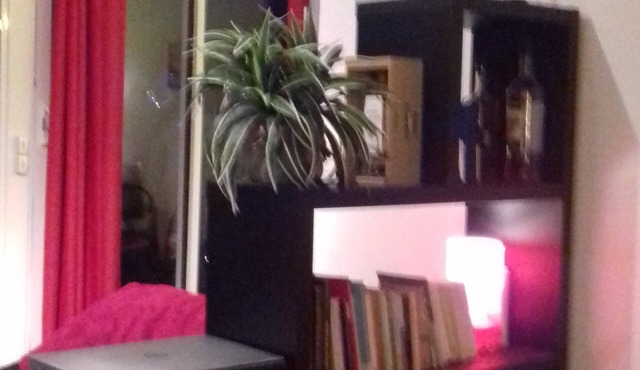 t1 can accommodate 1 or 1 couple