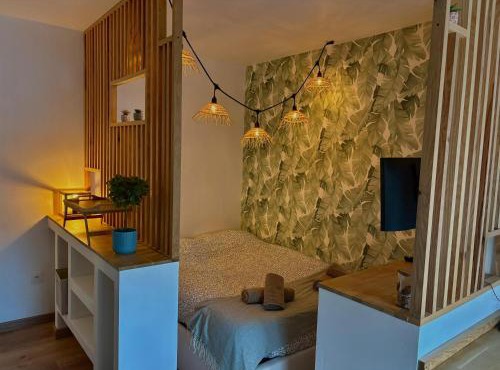 T1 cosy tout équipé, proche Airbus aéroport