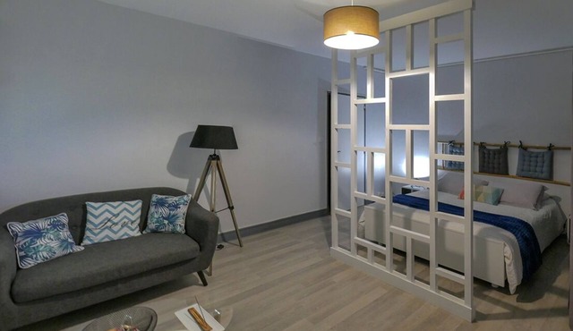 T1 of 36 m2 in a green setting, very bright, completely renovated