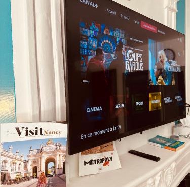 T1 TV 43' avec Netflix - canal série - apple TV - OCS - Disney - Dazen - bein sport - prime vidéo
