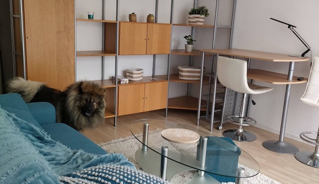 T1bis Meublé Parc Bourran Mérignac