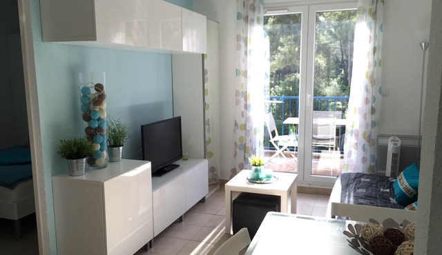 T2, 1 bedroom, 100 m from the beach, private swimming pool and parking, air conditioning, WIFI, linen included