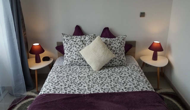 T2 35m ² on the ground floor with private courtyard 5 minutes from the thermal baths. 3 stars