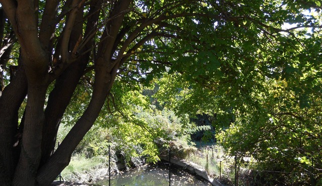 T2 apartment in country house