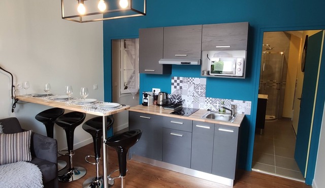 T2 apartment 5 minutes walk from downtown