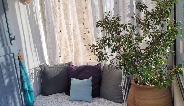 T2 apartment with south-facing terrace