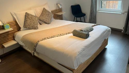 T2 - Balcon -15 min centre ville et Allemagne