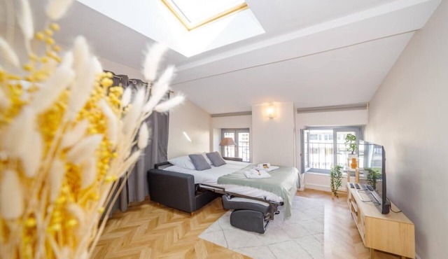 T2 Cozy Proche du Centre Avec Canapé lit