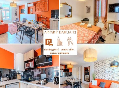 T2 Dahlia Roanne centre-ville - Parking & Clim