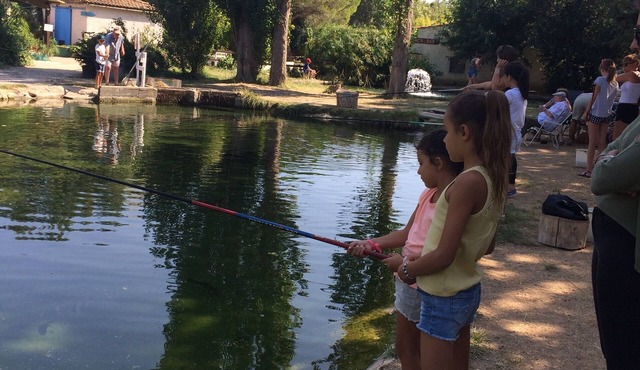 T2 FOR SEASONAL RENTAL