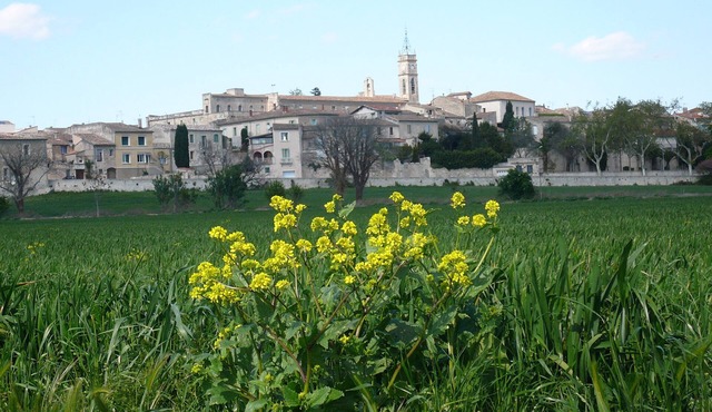 T2 in the countryside in a village near the coast