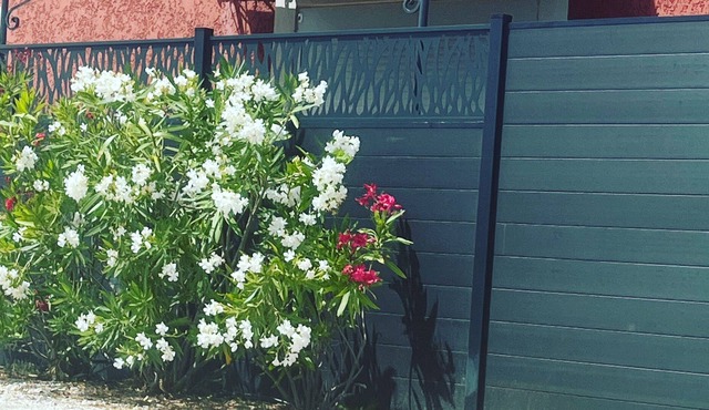 T2 la capte 100 m from the beach