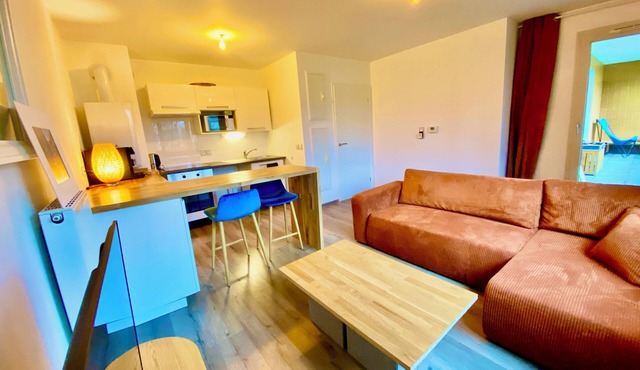T2 near CHR balcony and center Lille, pond view, parking, pets welcome
