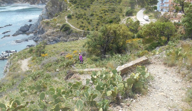 T2 permanently closed