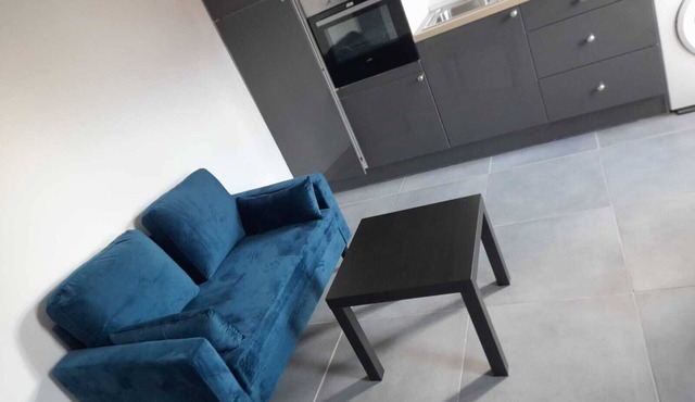 T2 Renovated Lille center