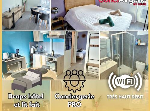 T2 Reposant Centre Flers proche de la gare