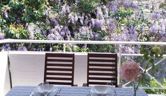 T2 terrace parking facing the Thermes de Borda, quiet 2 steps from downtown