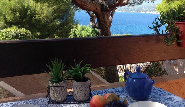 T2 vue mer 180° Avec balcon, Air-conditioned, direct access to the sea, Parking, Piscine