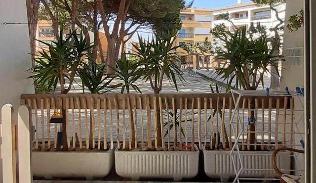 T2bis Les YUCCAS 200 m plage du Boucanet Rive Droite Grau du Roi idéal 2-4 pers 3 étoiles Résidence Camargue Village