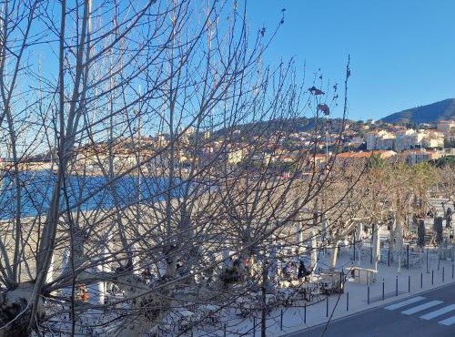 T3 à 50m de la plage, climatisé, Banyuls-sur-Mer - FR-1-309-9