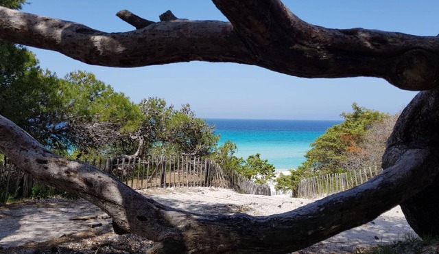 T3 4P terrace garage air conditioning wifi beach and shops 2 mn away