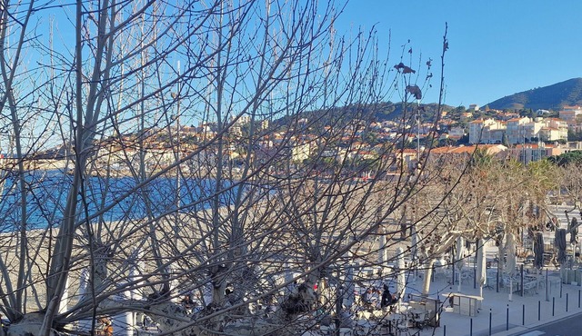 T3 50m from beach, air-conditioned, Banyuls-sur-Mer