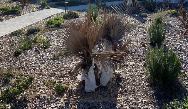 T3 80 M2 air-conditioned within a family domain of 25 apartments with swimming pool